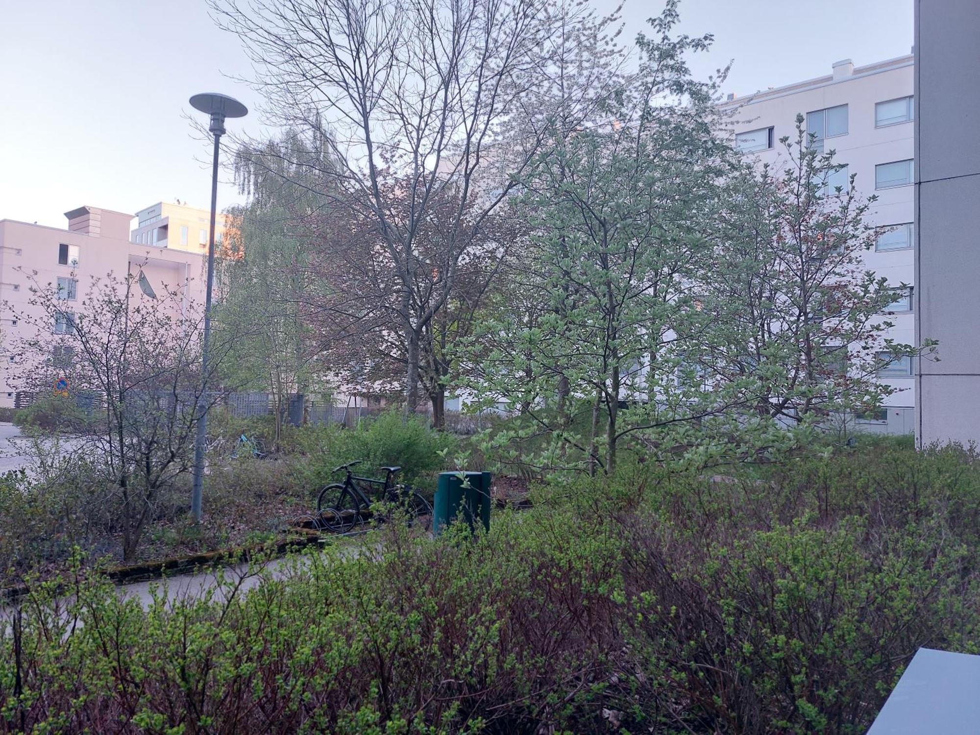 Saunallinen Kolmio Jaetkaesaaressa 赫尔辛基 外观 照片